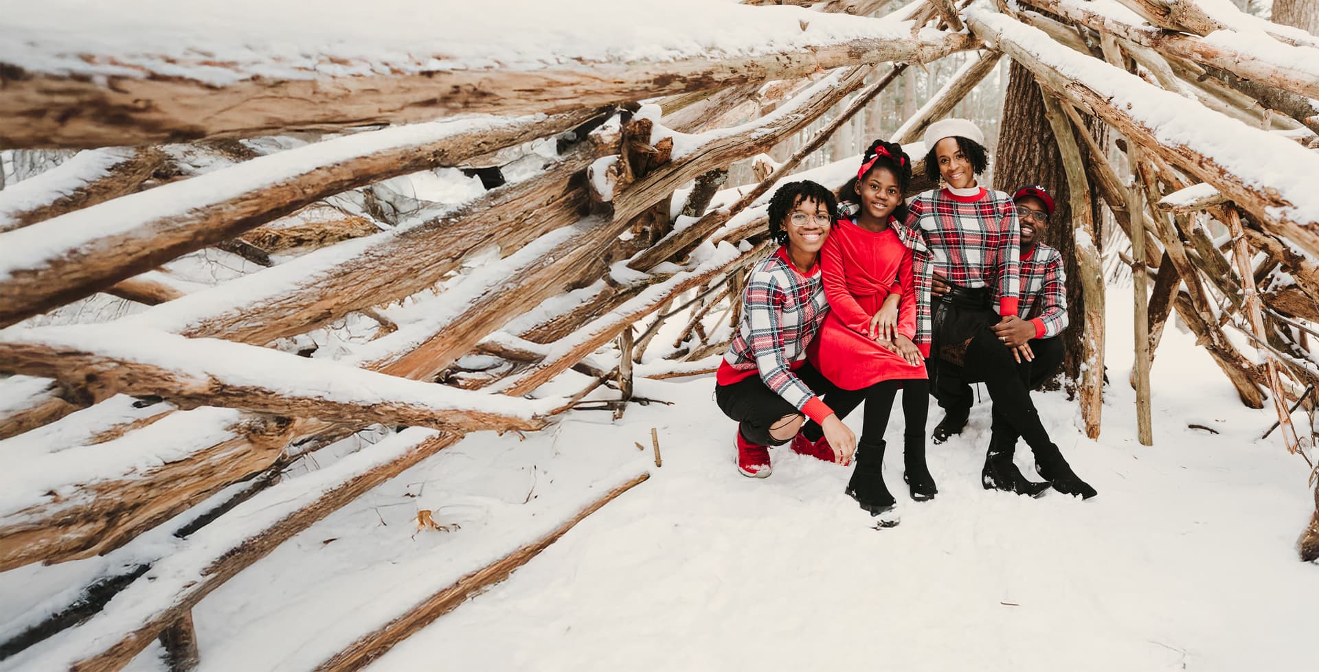 Free mini sessions top banner