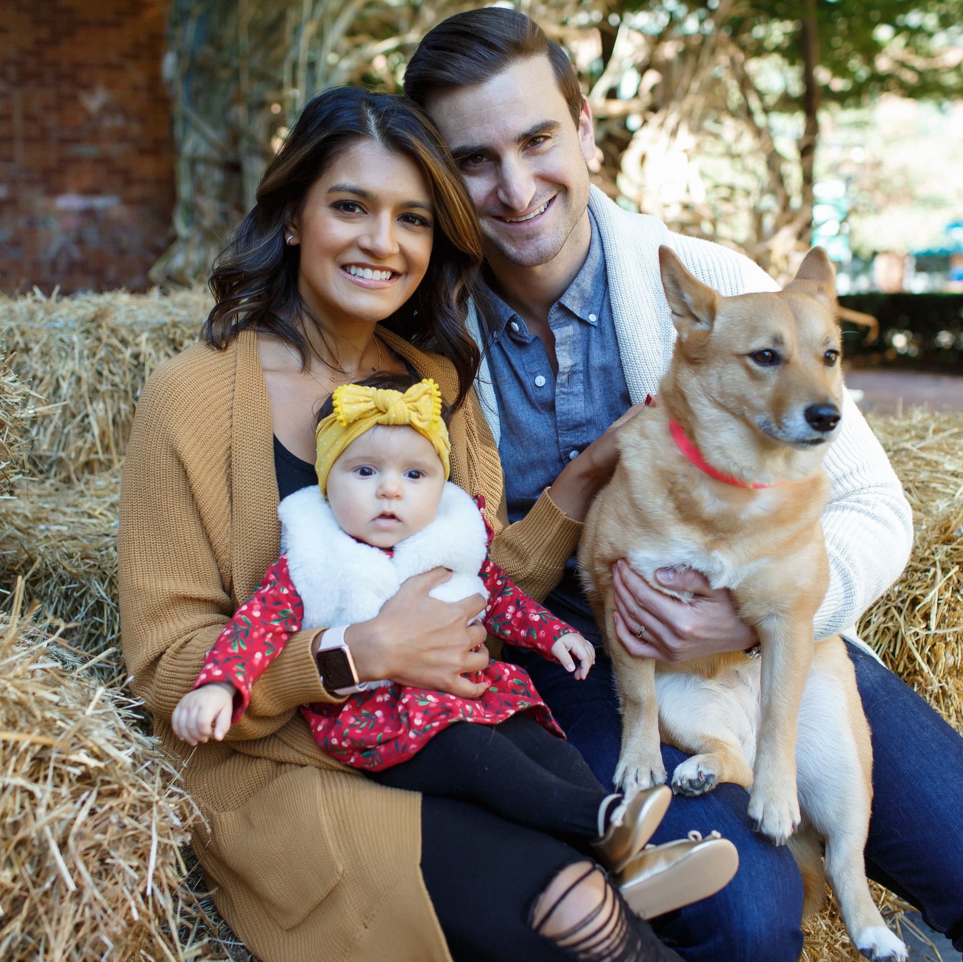 Family with baby and pet dog pose on hay bales for their free outdoor fall photoshoot