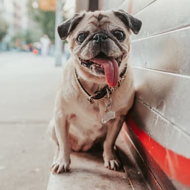 photo taken by a professional photographer during a free photography mini session