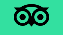 Green owl eyes logo on a turquoise background