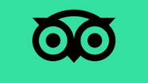 Green owl eyes logo on a turquoise background