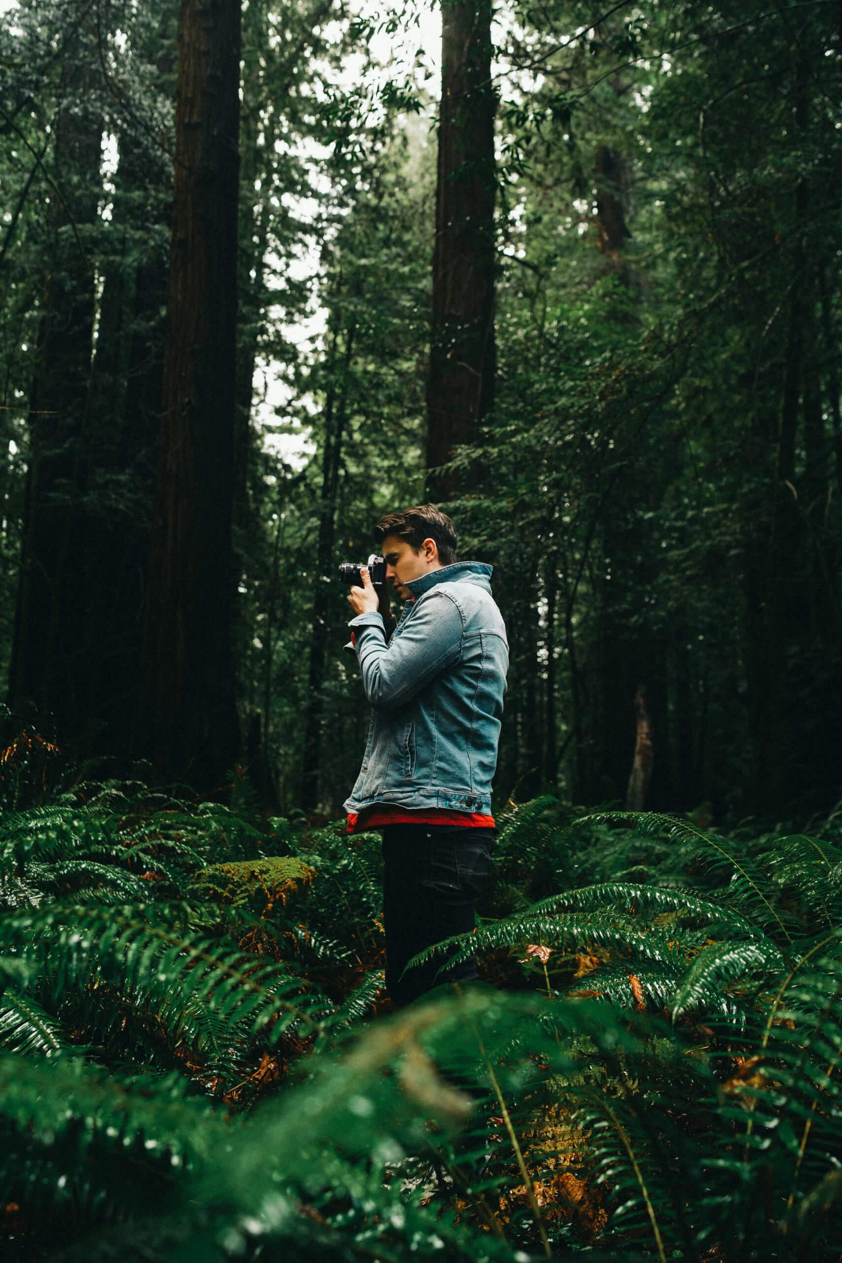 A man photographing the forest with tall trees and lush greenery.