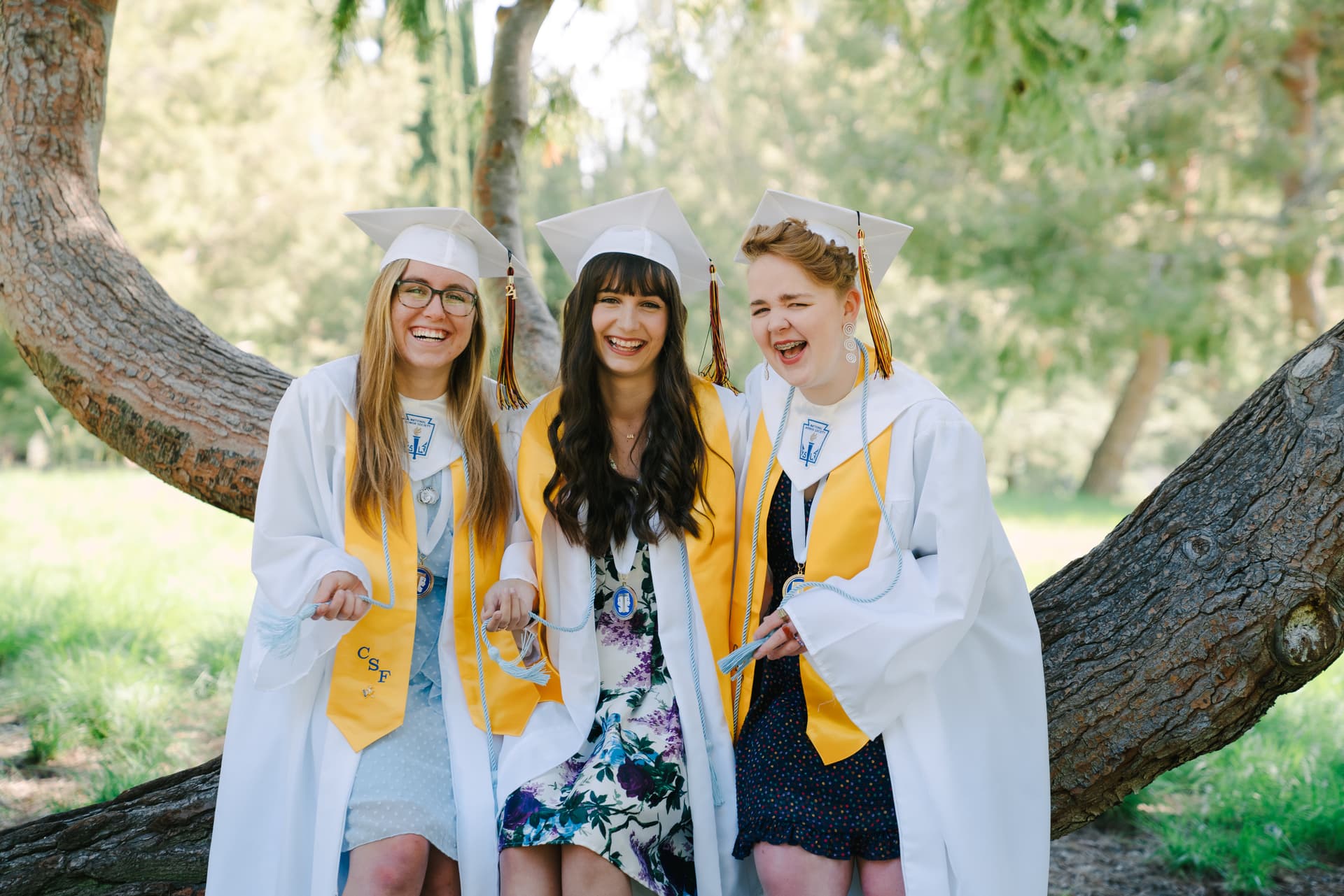 Three happy graduates in caps and gowns laughing together outdoors.
