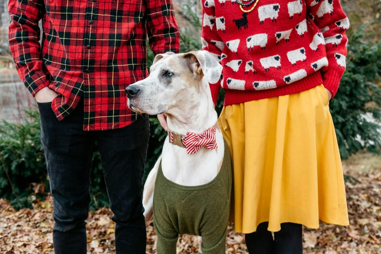 Two people standing with a dog wearing a bow tie between them