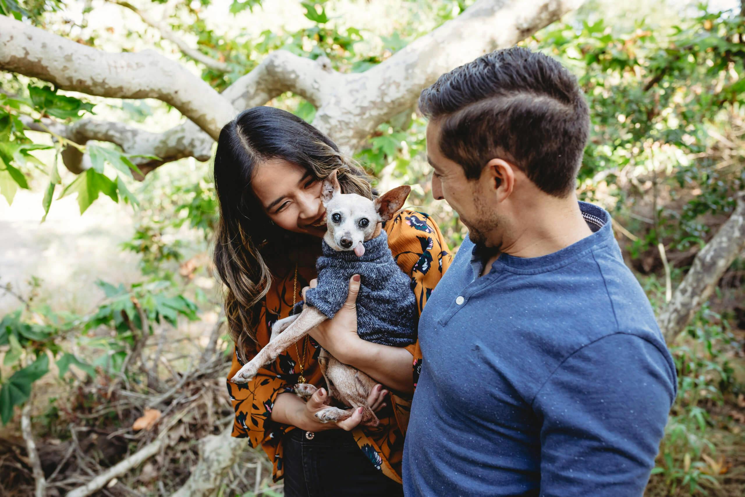 A couple holding and looking affectionately at their small dog in a sweater