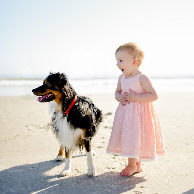 Toddler in a pink dress standing next to a black and brown dog on a beach