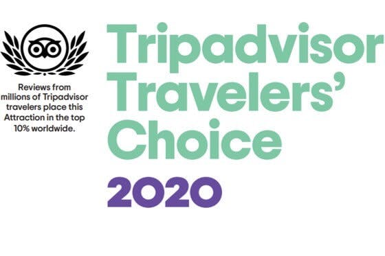 'Tripadvisor Travelers' Choice 2020' award logo with an owl icon